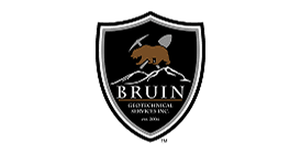 Bear with pickaxe on mountain shield logo.